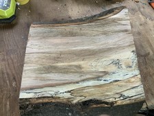 Spalted Turkey Oak Bowl Blank