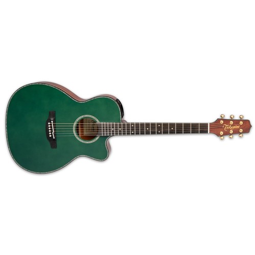 Takamine ltd2025 acoustic - ltd2025,