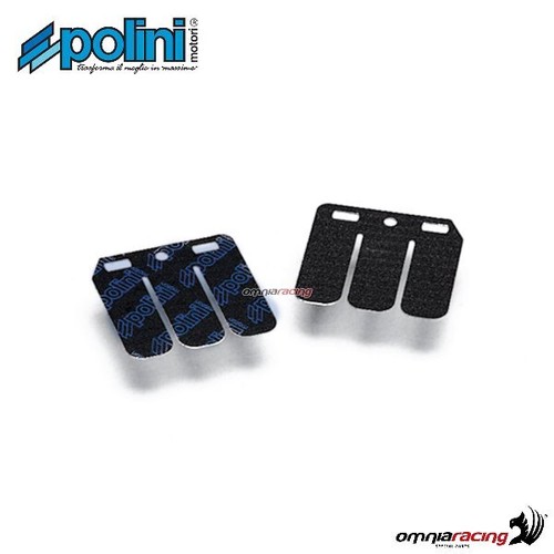 Polini carbon reed valve set