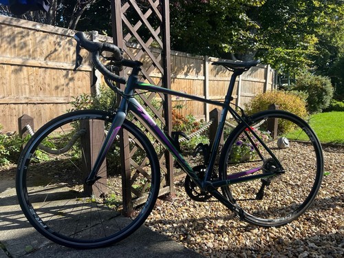 Ladies medium frame giant road - giant,