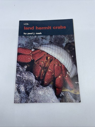 Vintage land hermit crabs - hermit, by