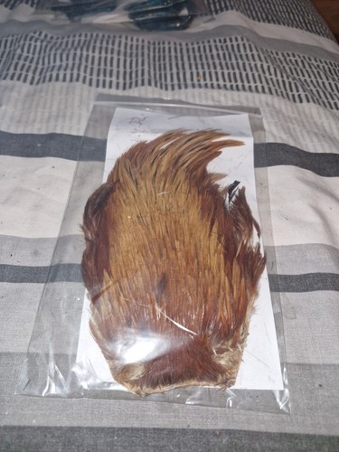 Cock cape fly tying - cock, cape,fly