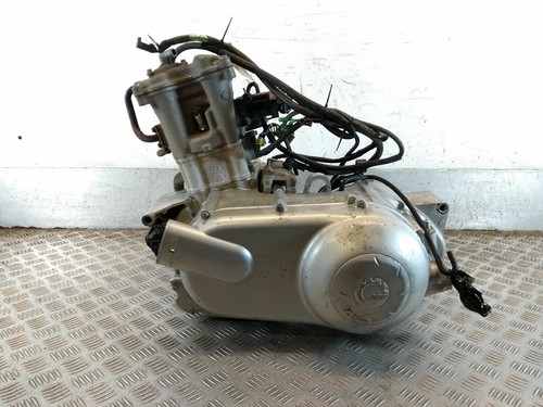 Can 250 engine - can, am