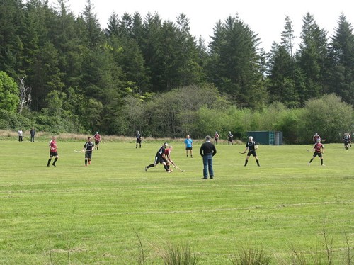 Photo 12x8 shinty - photo,