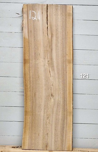 Elm live edge - live,