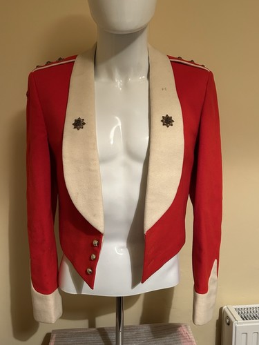 British army prince - army, wales'