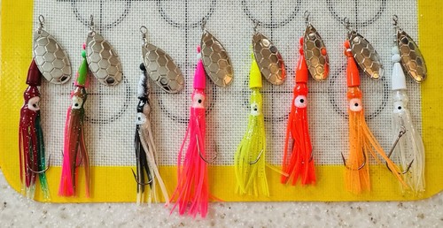 Salmon squid inline - salmon,