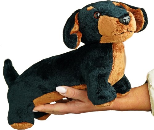 Sausage dog plush - dog,