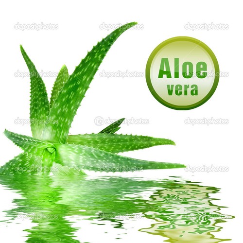 Aloe vera gel 50g 5kg - aloe,
