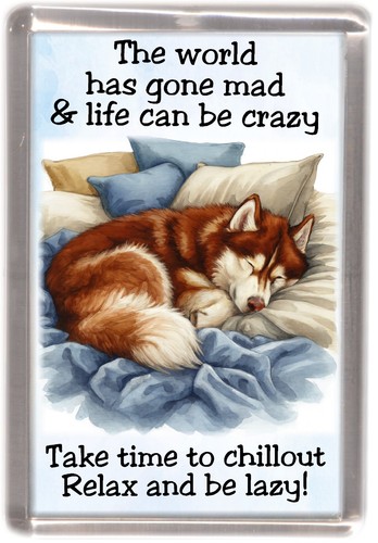Siberian husky dog fridge - dog,