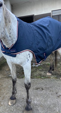 Equitheme Fleece Lined Walker Rug Horse| Lunge Groundwork 