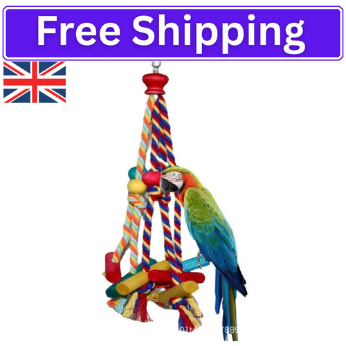 Bird toys parrot - toys,