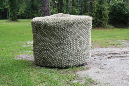 Horse hay round - horse,