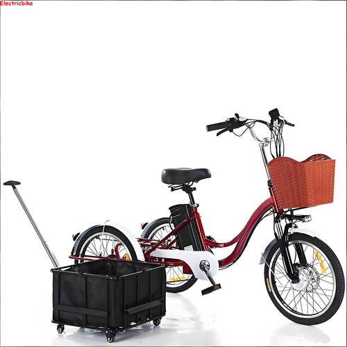 Electric tricycle 48v - 20",