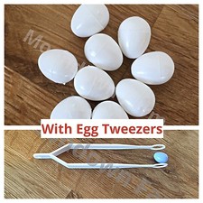 PLASTIC FINCH / CANARY DUMMY EGGS X 10 White AND EGG TWEEZERS Birds