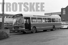 35mm Black and White Negative