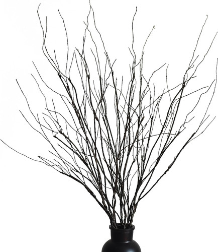 Pcs artificial twigs - 10, curly