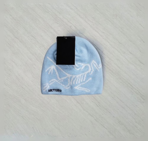Arc teryx head - toque, beanie