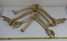 Vintage Large Advertising