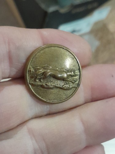Hunt button morpeth - morpeth,