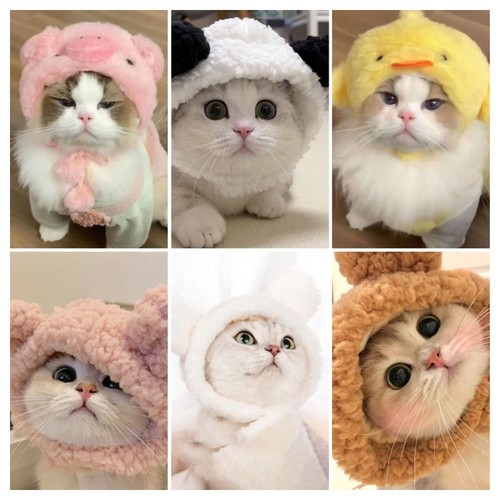 Woven cat cap panda - cap,