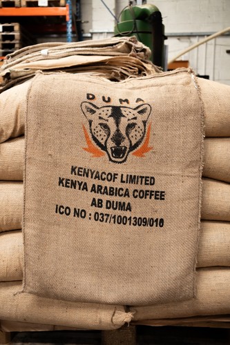 One heavy kenya - duma, hessian