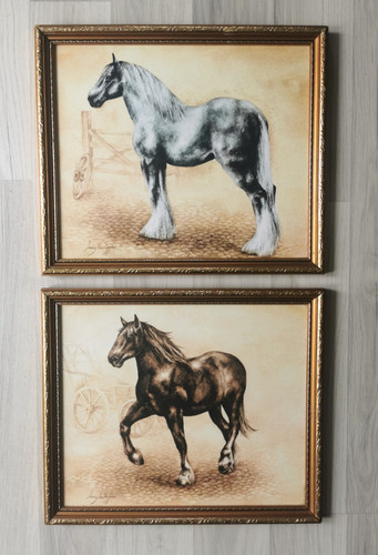 Shire horse framed prints pair - horse,