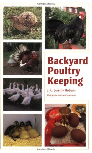 Backyard poultry keeping - backyard,