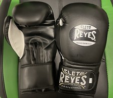 Cleto Reyes Adult Boxing