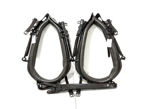 Horse driving harness pair - harness,