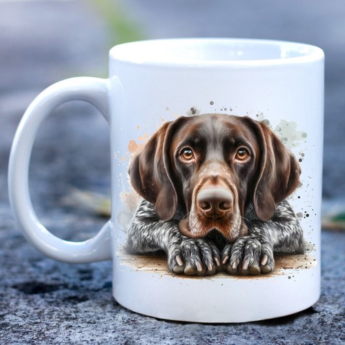 German shorthaired pointer - pointer, dog