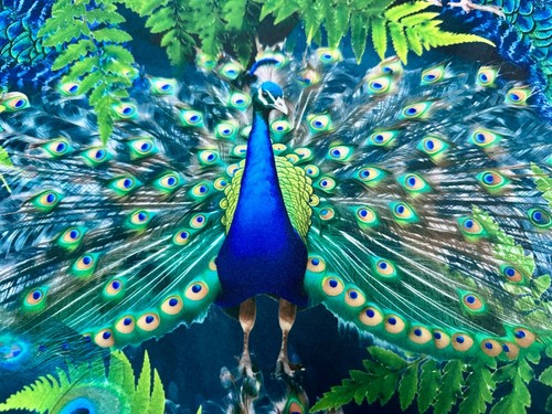 Royal peacock velvet fabric - royal,