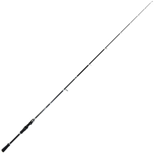 Fishing spinning rod - rod, carbon