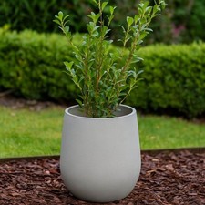 Large Cement Effect Pot Planter – Lightweight Stone Look for garden planting