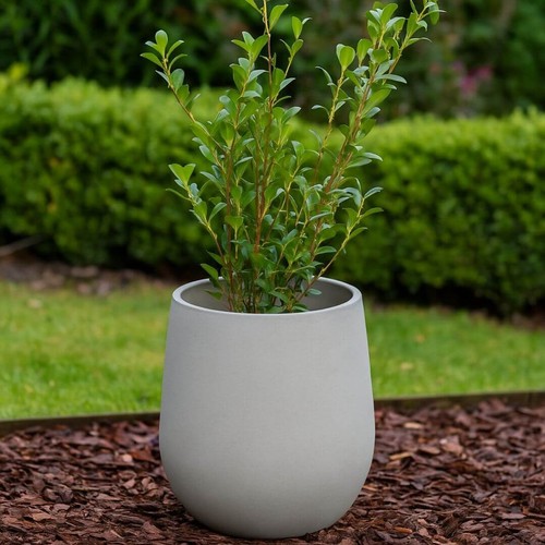 Large cement effect pot - effect,