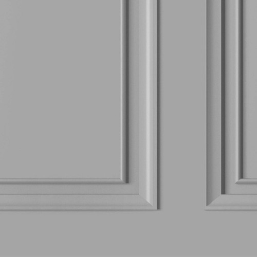 Rasch dimension panel