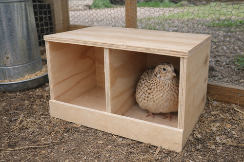 Wooden nesting box suitable - nesting,