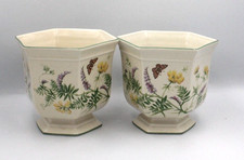 Pair The country diary