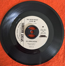 Northern soul The Appreciations She never really loved me / There's a place  VG+
