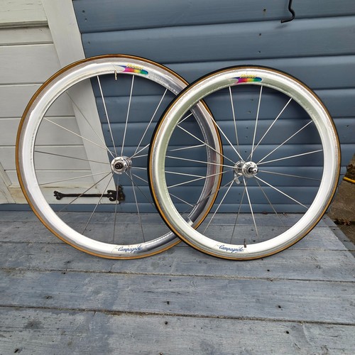 Campagnolo shamal pursuit - tt, /