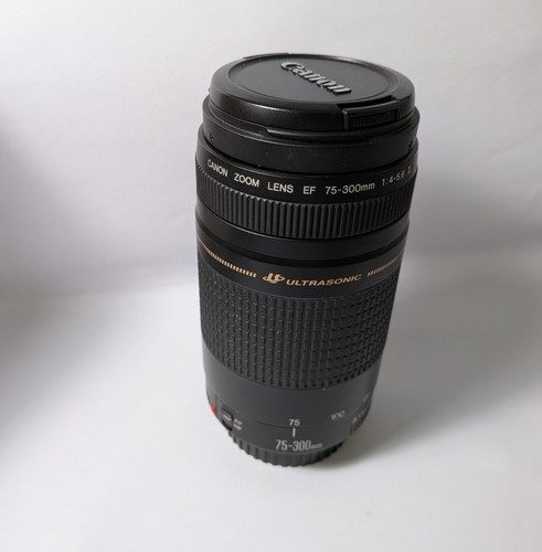 Canon 300mm 5 6 - canon, 75-300mm