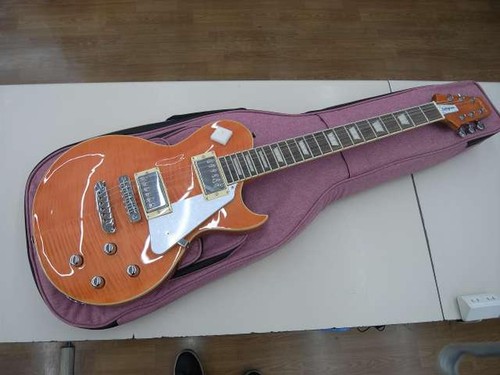 Aria pro evergreen ae200 - ii,