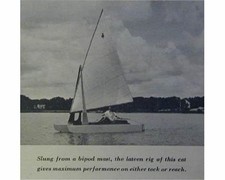 12' Hobie Cat type Sailboat