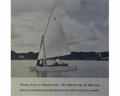 Hobie cat type sailboat - 12',