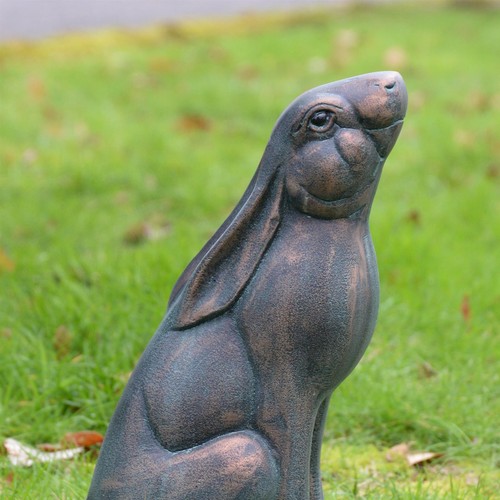 Large stargazing rabbit - stargazing,