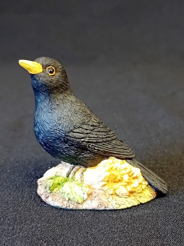 Border fine arts blackie - border, 'blackie'