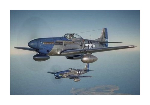 P51 mustang usaf ww2 fighter - mustang, 4