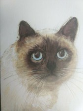 MADS STAGE SIAMESE CAT