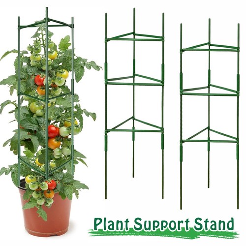 Tomato cage plant support - tomato,