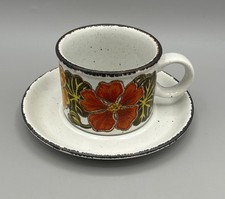 Midwinter Stonehenge Nasturtium Tea Cup & Saucer Set Vintage Floral